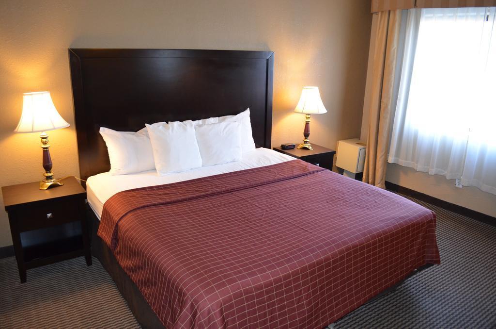 Comfort Inn Downtown Detroit Bagian luar foto