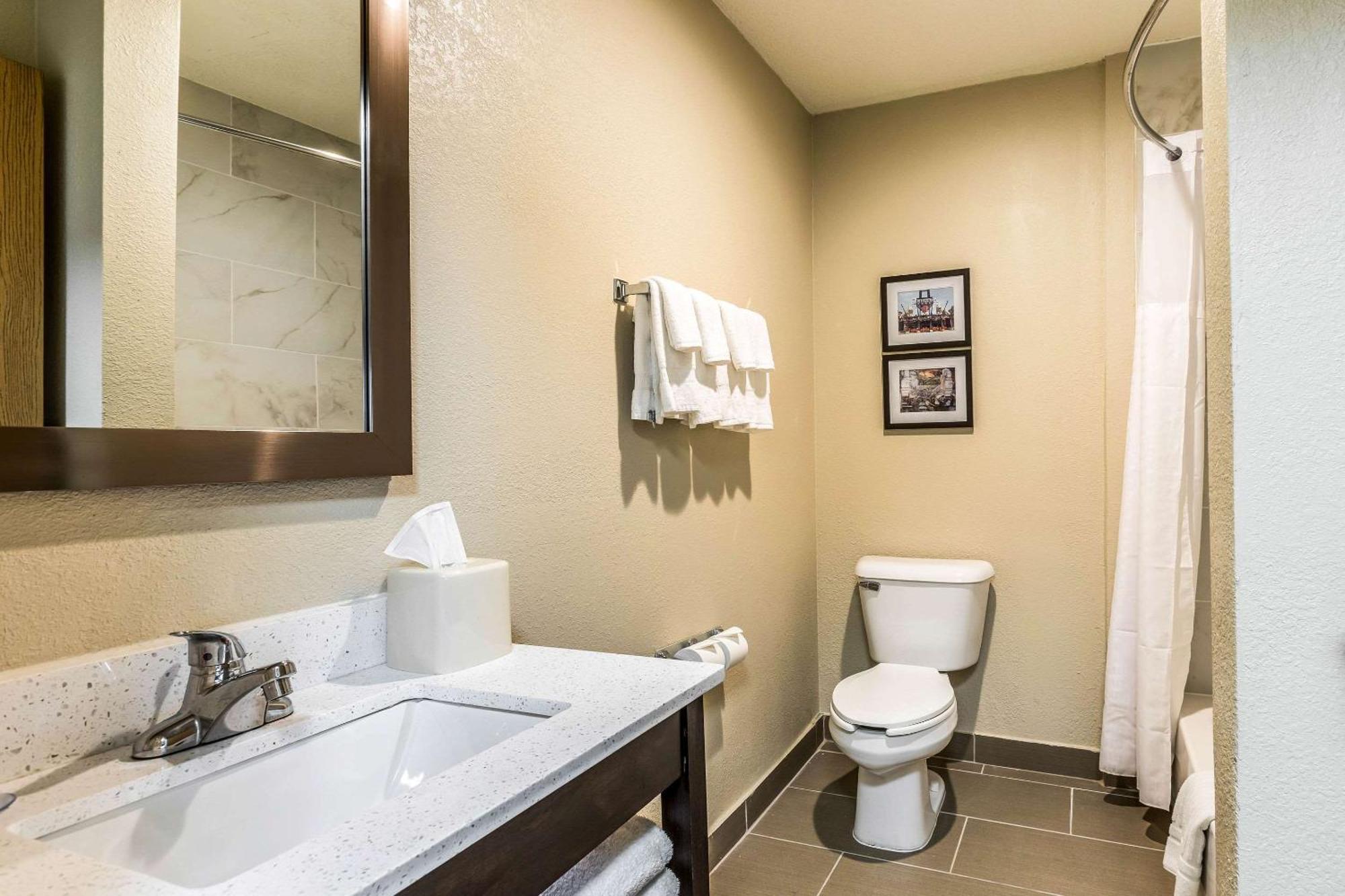 Comfort Inn Downtown Detroit Bagian luar foto